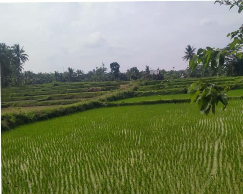 Lombok : City Tour and Atmosphere of Nature Countryside Tour - Final thoughts