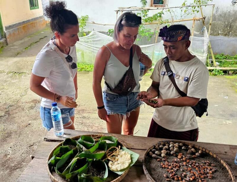 Lombok: Coffee Experience, Rice Terraces & Waterfalls Tour - Good To Know