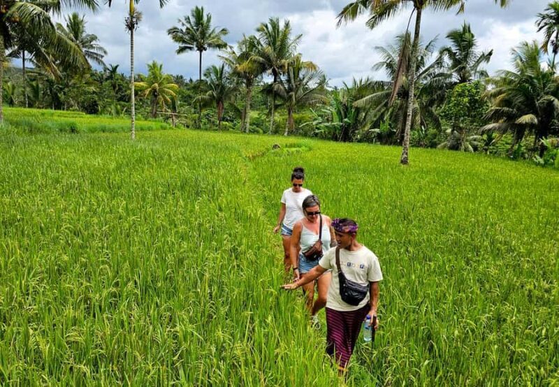 Lombok: Coffee Experience, Rice Terraces & Waterfalls Tour - Who Will Love This Tour?