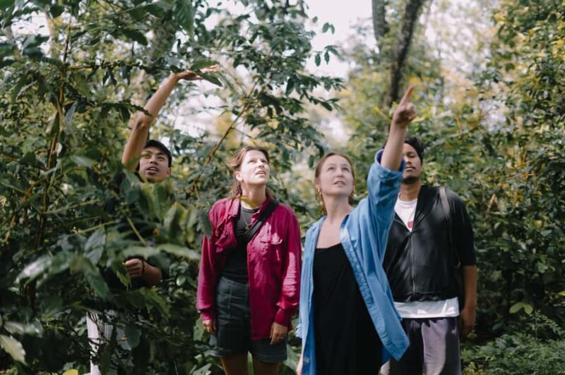 Lombok: Coffee Plantation Tour With Tasting - In-Depth Review of the Lombok Coffee Plantation Tour