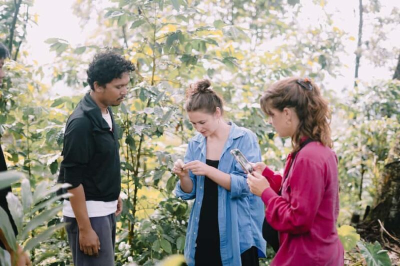 Lombok: Coffee Plantation Tour With Tasting - Good To Know