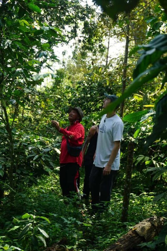 Lombok: Coffee Plantation Tour With Tasting - FAQ