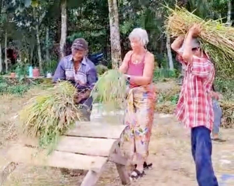 Lombok: Cooking Class at Local's House & Waterfall Tour - FAQ