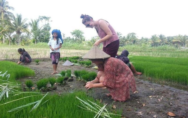 Lombok: Culture, Rice Terrace, and Waterfall Full-Day Tour - Pickup and Starting Point