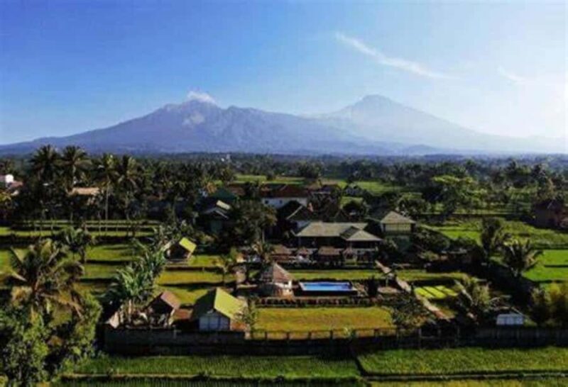 Lombok: Culture, Rice Terrace, and Waterfall Full-Day Tour - Coffee Plantation and Tasting