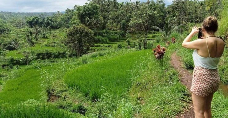 Lombok: Customizable Privat Trip-Car Hire With Driver-Guide - Booking Flexibility Options