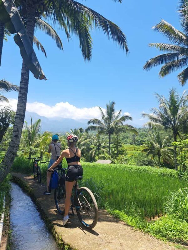 Lombok Cycling tour: Rice field, Waterfall, Monkey Forest - Introduction