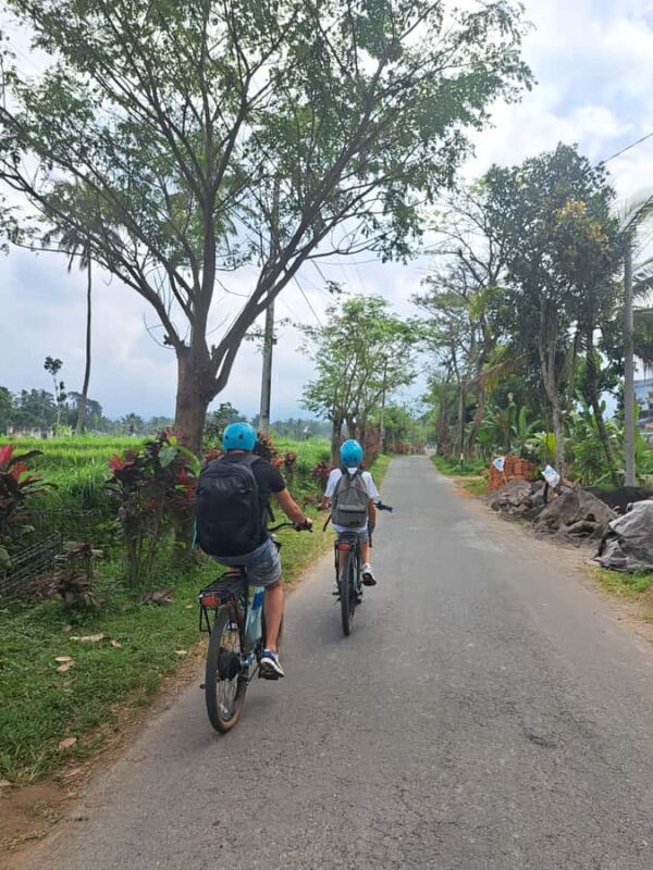 Lombok Cycling tour: Rice field, Waterfall, Monkey Forest - Good To Know