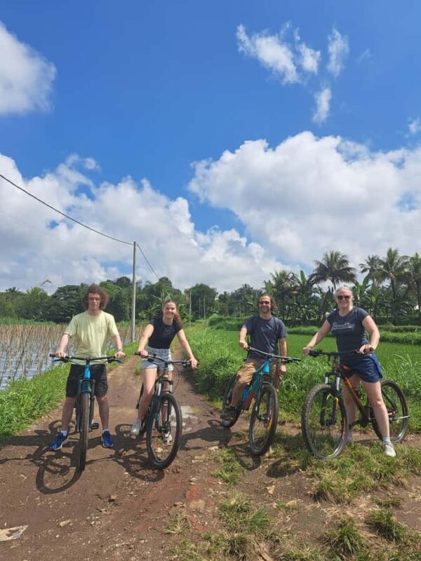 Lombok Cycling tour: Rice field, Waterfall, Monkey Forest - Rice Fields and Cultural Insights