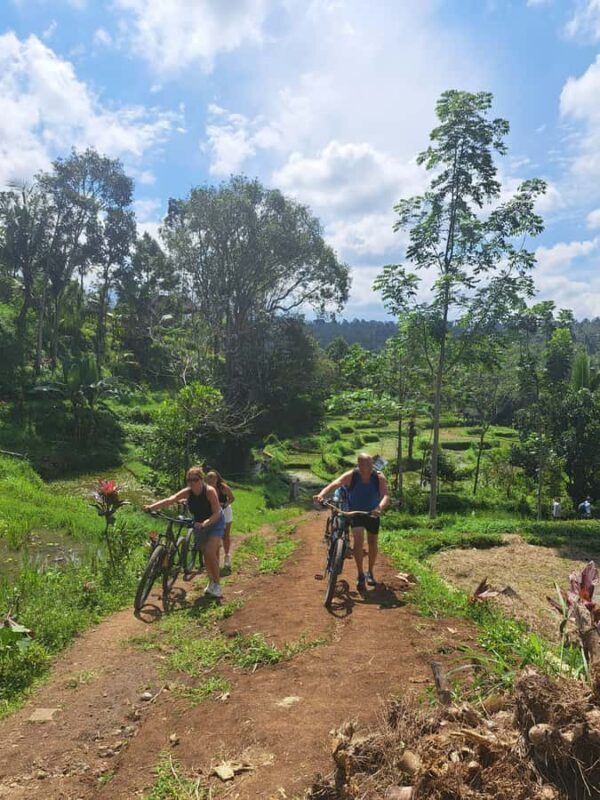 Lombok Cycling tour: Rice field, Waterfall, Monkey Forest - Waterfall Adventure: A Touch of Excitement