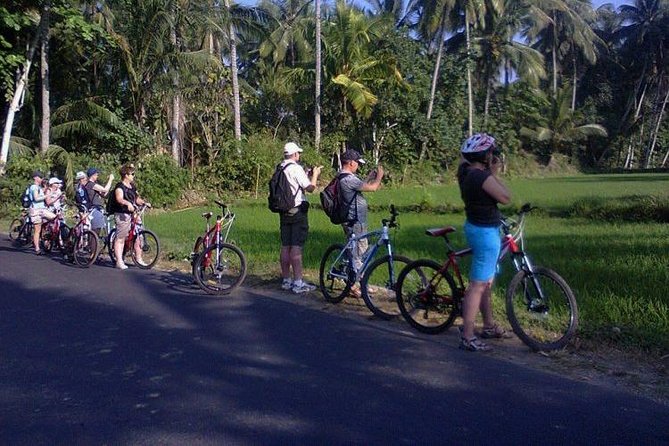 Lombok Cycling Tour: Tempos Rice Field, Hand Weaving Village & Pengsong Temple - Tempos Rice Field Exploration