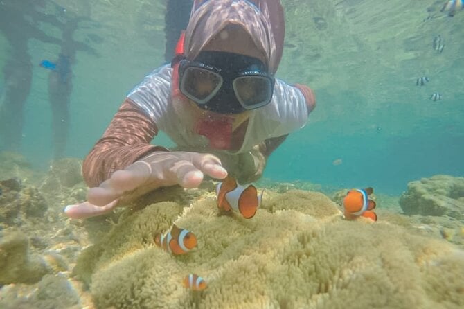 Lombok Daily Tour - Tour Overview