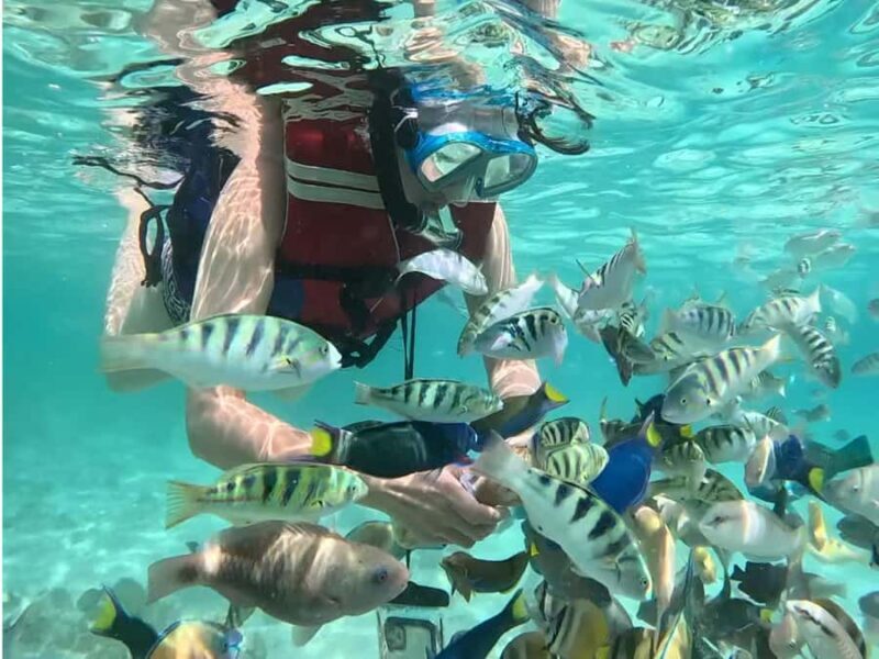 Lombok Day Tour: SukararaVillage, Pink Beach&Gili Snorkeling - Transportation and Logistics