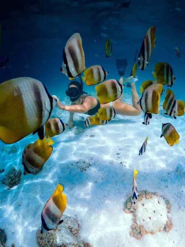 Lombok Day Tour: SukararaVillage, Pink Beach&Gili Snorkeling - Snorkeling: Vibrant Marine Life in Crystal Clear Waters