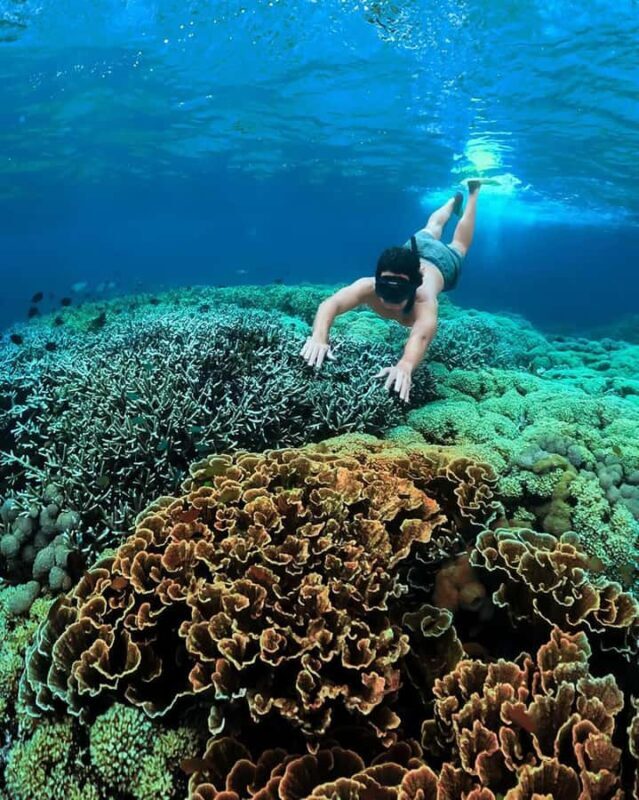 Lombok Day Tour: SukararaVillage, Pink Beach&Gili Snorkeling - Pink Beaches (Pink 1 & Pink 2): Relaxation and Unique Beauty