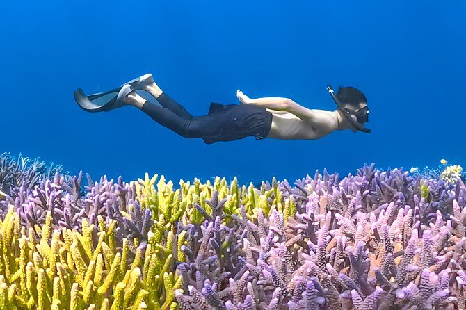 Lombok Day Trip - Privat Snorkeling Gili Nanggu,Gili Kedis,Sudak - What’s Included & What’s Not