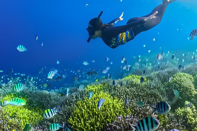 Lombok Day Trip - Privat Snorkeling Gili Nanggu,Gili Kedis,Sudak - Final Thoughts