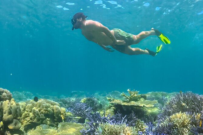 Lombok Day Trip - Privat Snorkeling Gili Nanggu,Gili Kedis,Sudak - FAQ