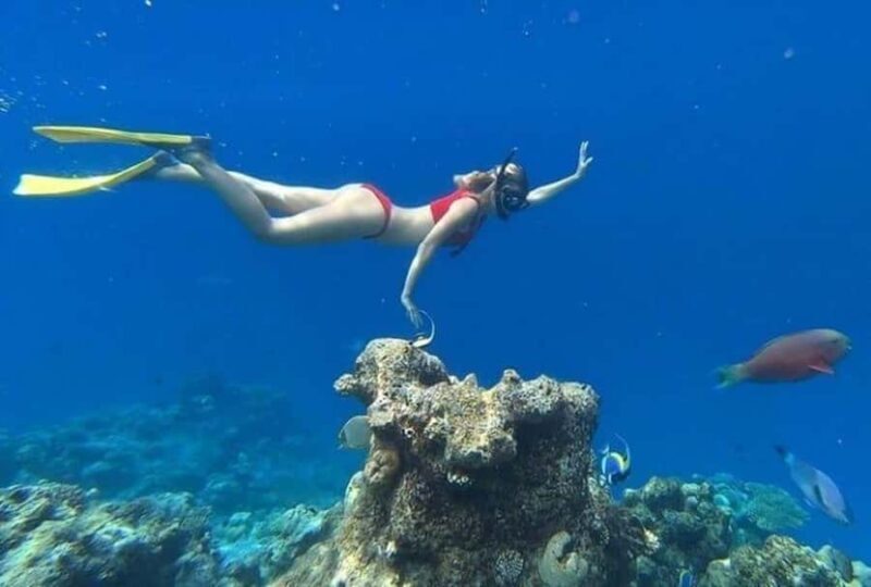 Lombok: East Gili Islands Snorkeling Tour with BBQ Lunch - A Closer Look at the East Gili Islands Snorkeling Tour