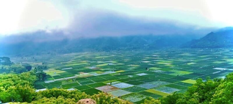 Lombok Escape: Nature, Culture & Sembalun Highlands Day Trip - Who Is This Tour Best For?