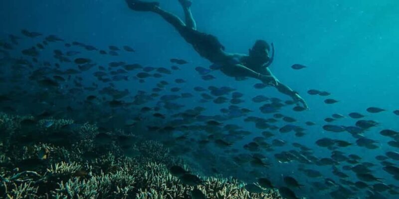 Lombok: exclusive 7 Gilis snorkeling and island hopping - Who Will Love This Tour?