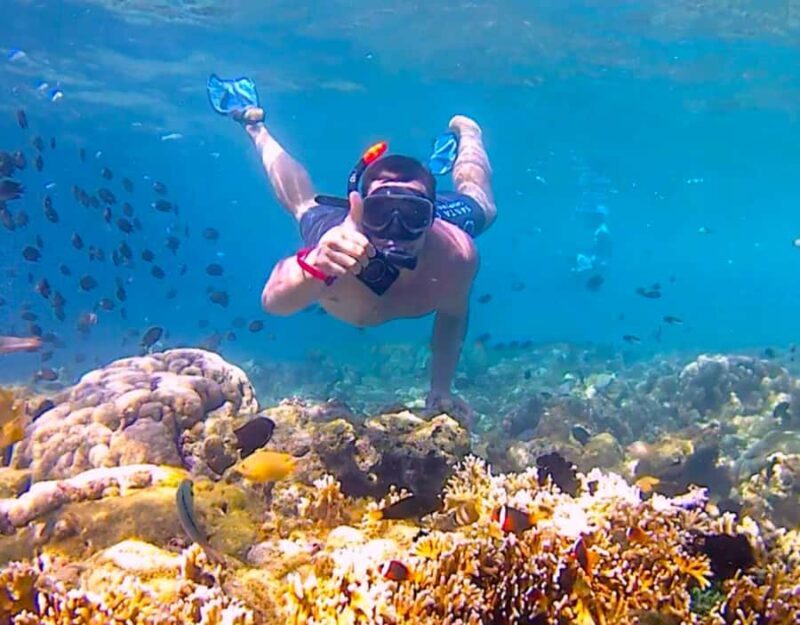 Lombok: exclusive 7 Gilis snorkeling and island hopping - The Sum Up