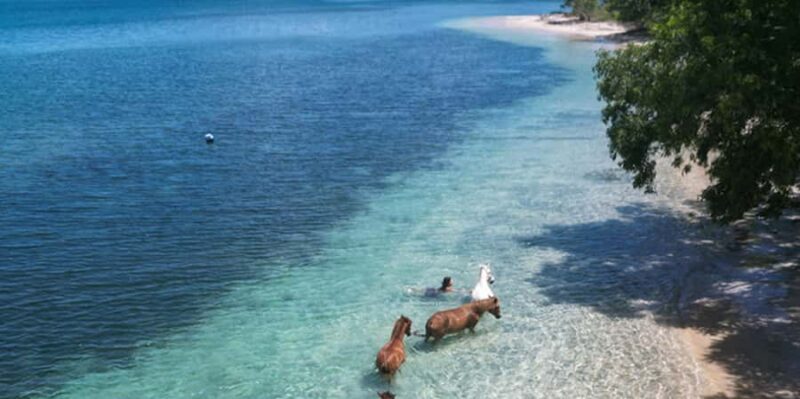 Lombok: exclusive 7 Gilis snorkeling and island hopping - FAQ