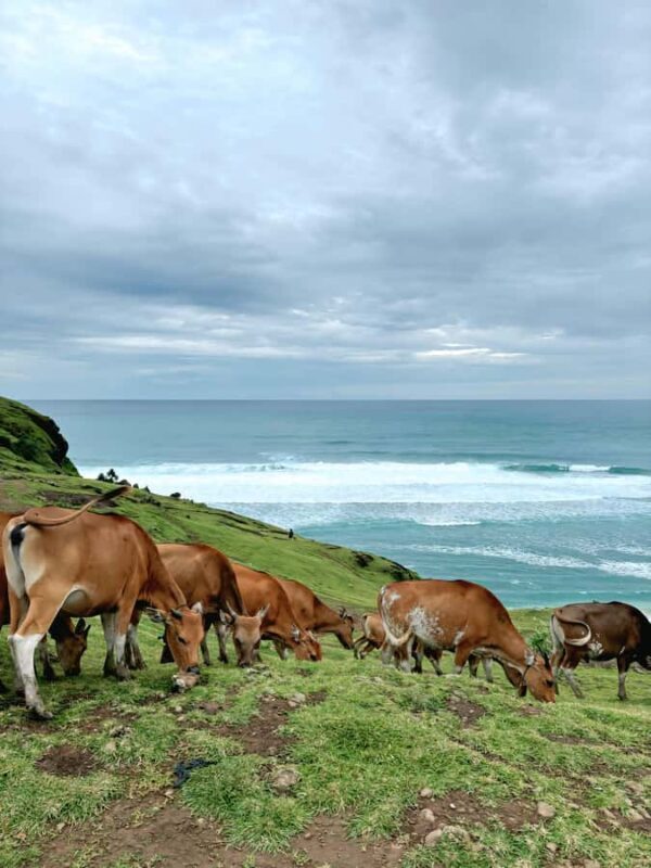 Lombok: Exclusive Benang stokel and Benang Kelambu waterfall - A Day in Lombok’s Natural and Cultural Heart