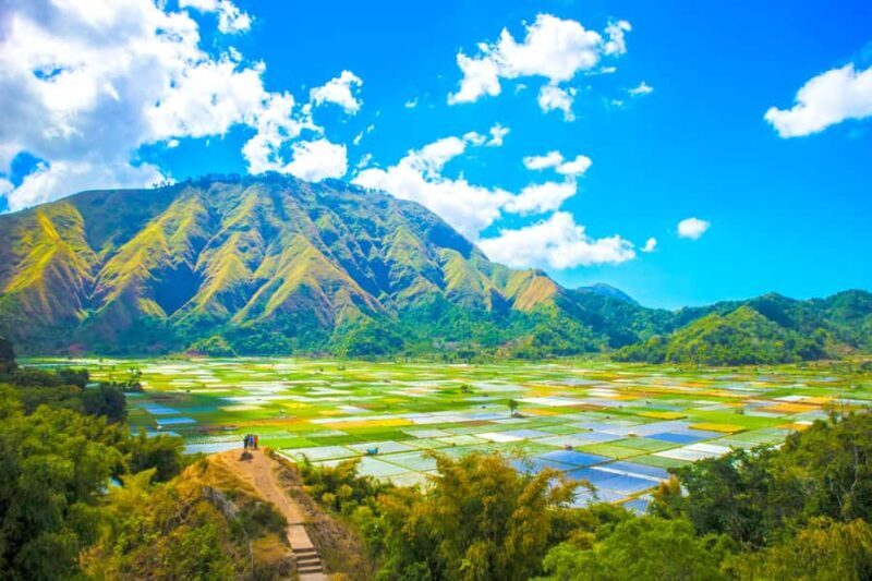 Lombok: Exclusive Sendang Gile, Tiu Kelep & Selong Hill Tour - Who Will Love This Experience?
