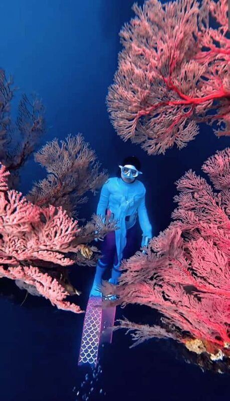 Lombok: Exclusive Snorkeling at Gili Kondo & Visit 3 Gili - What Makes This Tour Stand Out