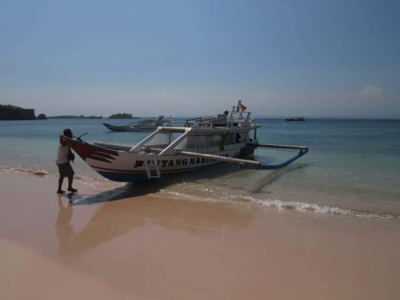 Lombok: Exotic Beach And Beautiful Snorkeling - Authenticity and Insights from Reviews