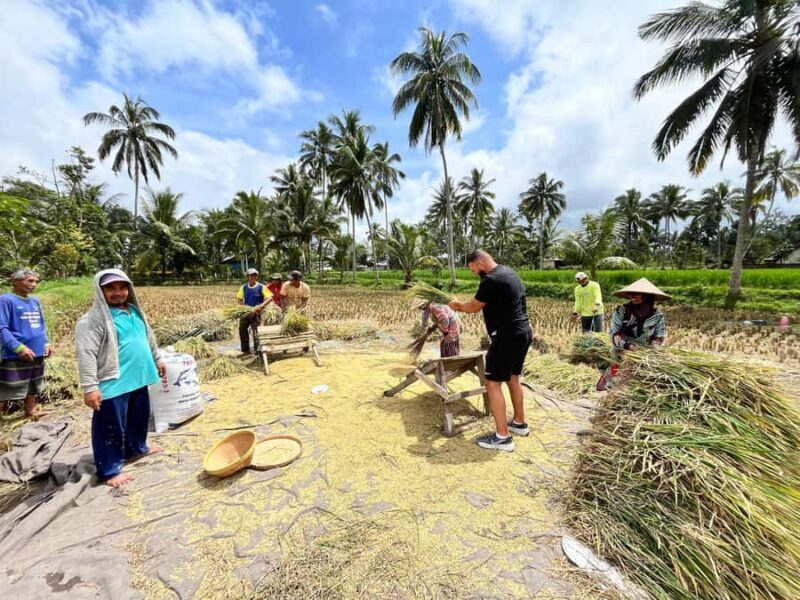 Lombok : Explore 4 Waterfall, Heritage & City Tour. - The Largest Mosque on Lombok: Architectural Beauty and Cultural Insight