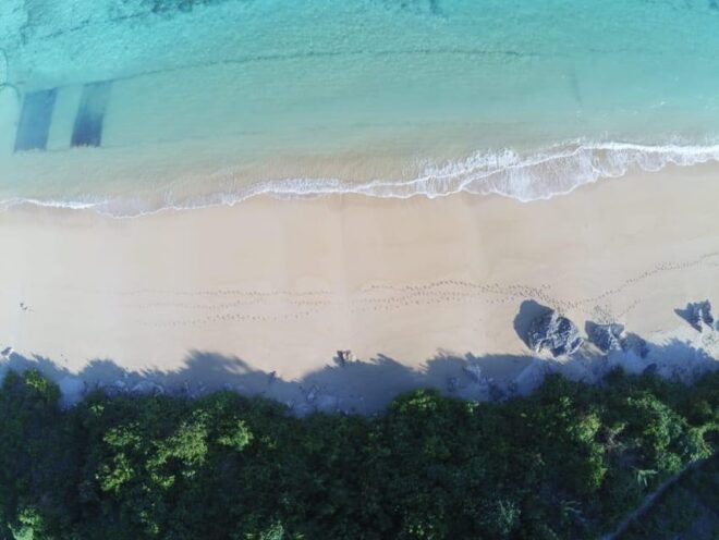 Lombok: German Speaking Driver Around the Island of Lombok - Included Amenities