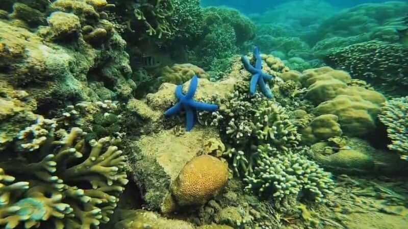 Lombok: Gili Gede, Rengit, and Layar Island Hopping Tour - The Itinerary and What to Expect