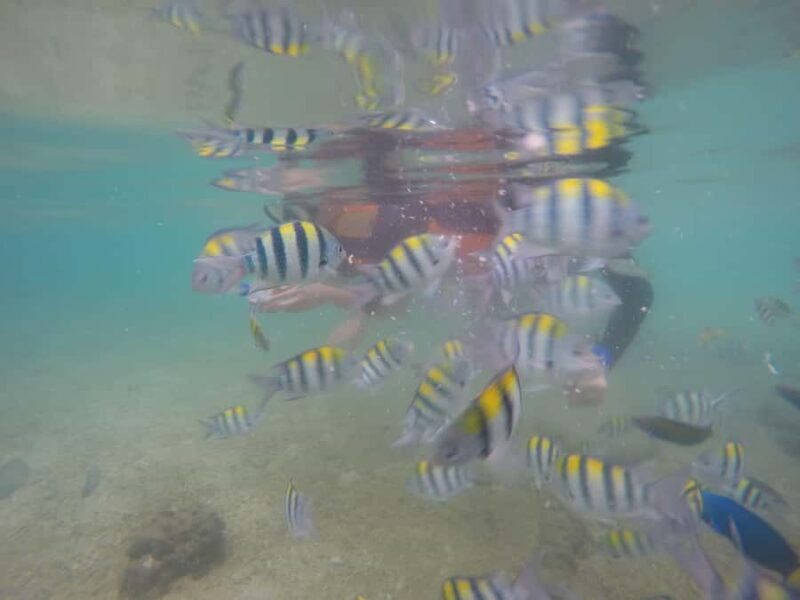 Lombok: Gili Islands Boat Trip with Snorkeling - Final thoughts