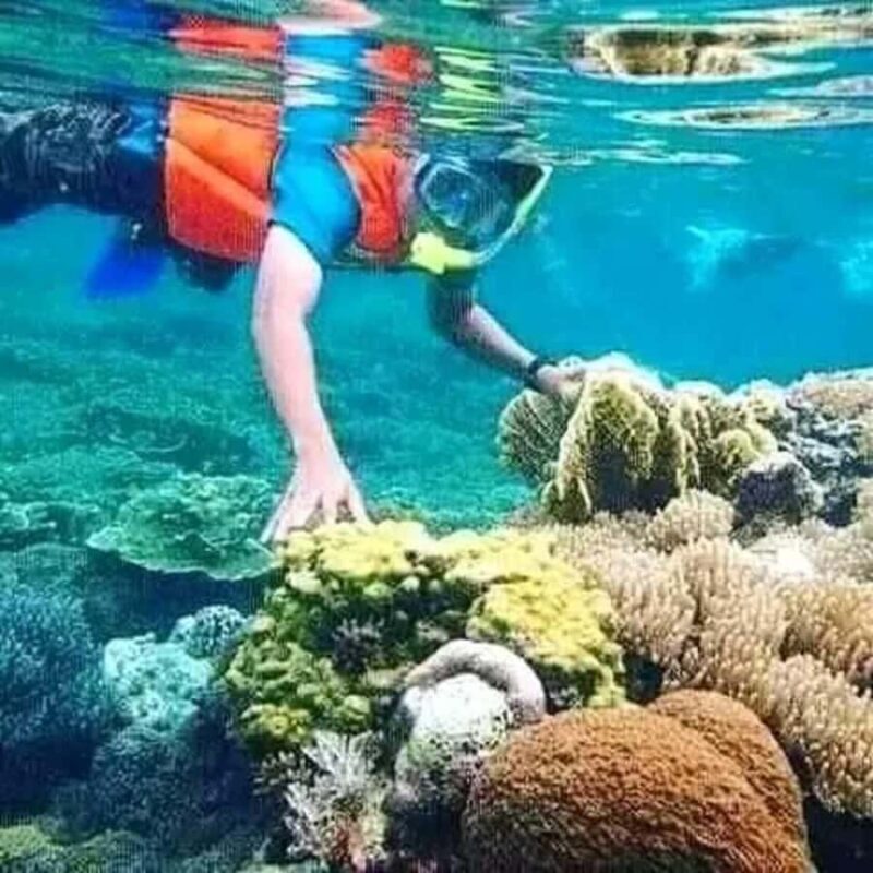 Lombok: Gili Islands Glass Bottom Boat Tour with Snorkeling - Good To Know