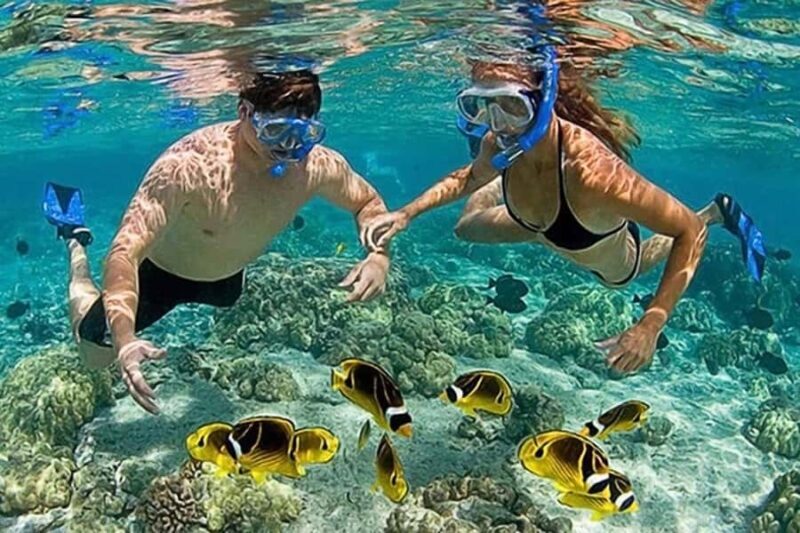Lombok: Gili Kondo, Petagan, dan kapal Snorkeling Tour - An In-Depth Look at the Tour Experience