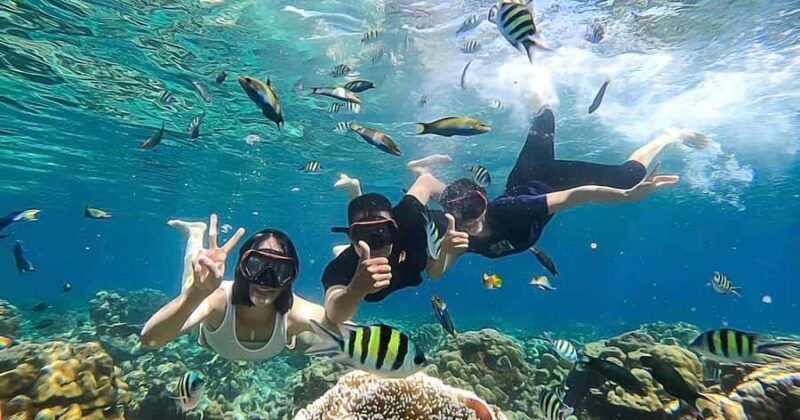 Lombok: Gili Kondo, Petagan, dan kapal Snorkeling Tour - Pricing and Value