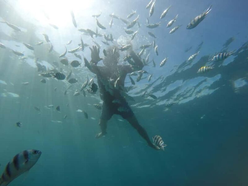 Lombok: Gili Nanggu, Kedis, and Sudak Islands Boat Tour - Exploring Lombok’s Gili Islands Boat Tour: A Detailed Look