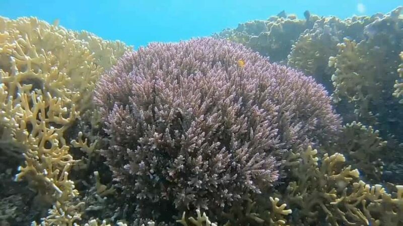 Lombok: Gili Nanggu, Kedis, and Sudak Islands Boat Tour - FAQ