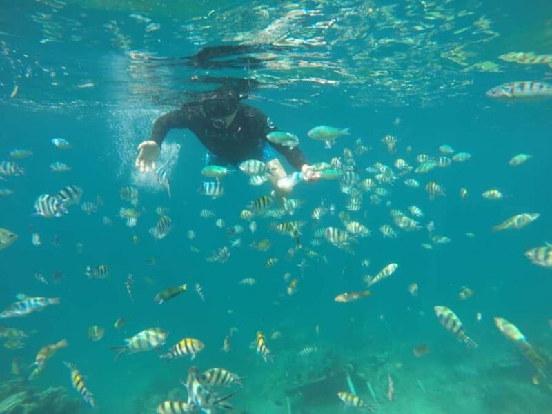 Lombok: Gili Nanggu, Kedis, and Sudak Islands Boat Tour - Good To Know