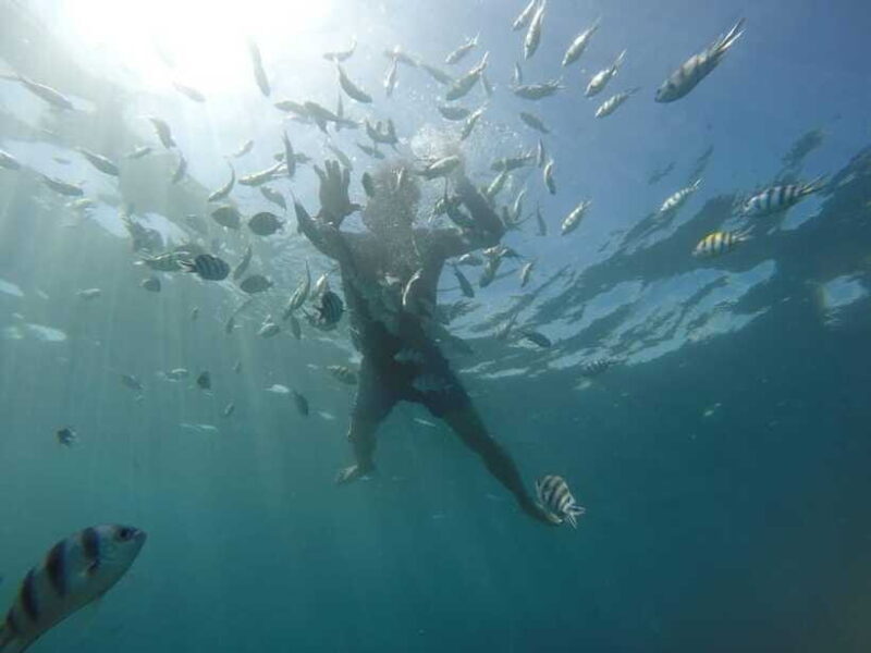 Lombok: Gili Nanggu, Kedis, and Sudak Islands Boat Tour - The Experience from Reviews