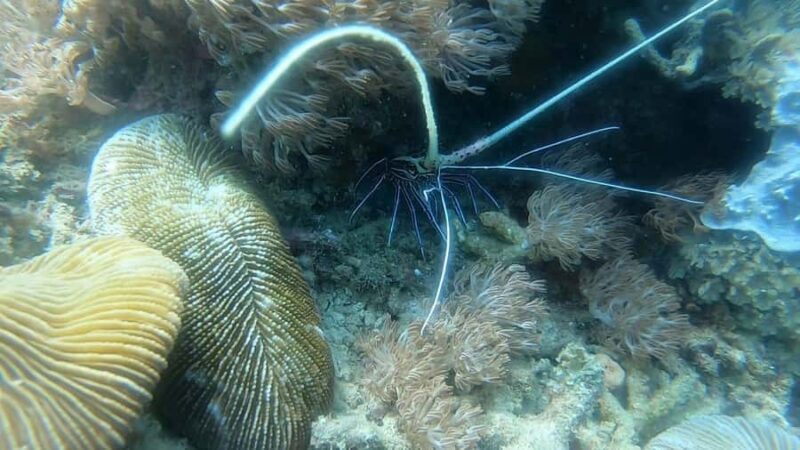 Lombok: Gili Nanggu, Kedis, and Sudak Islands Boat Tour - Practical Details and Tips