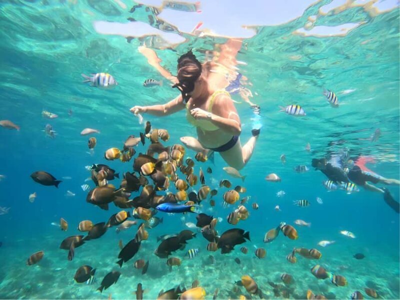 Lombok: Gili Nanggu, Sudak and Kedis Private Snorkeling Tour - Who Will Love This Tour?