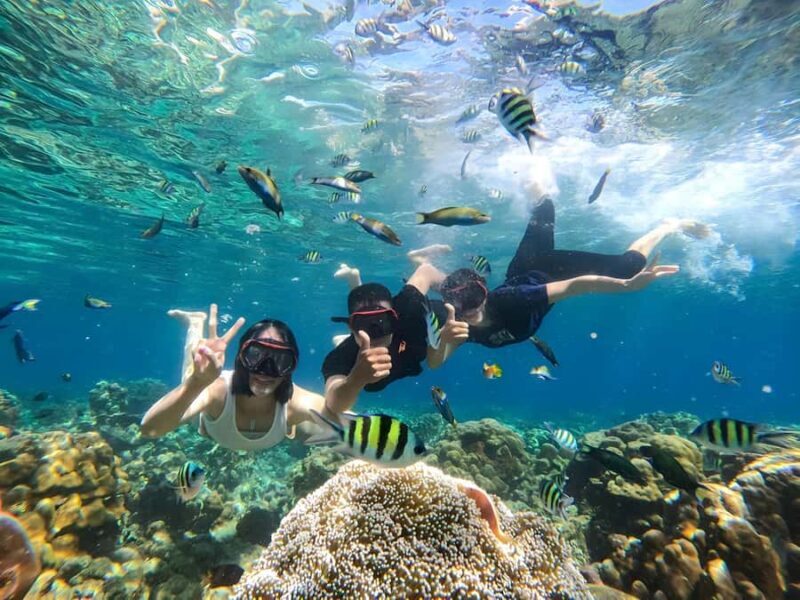 Lombok: Gili Nanggu, Sudak and Kedis Private Snorkeling Tour - Good To Know