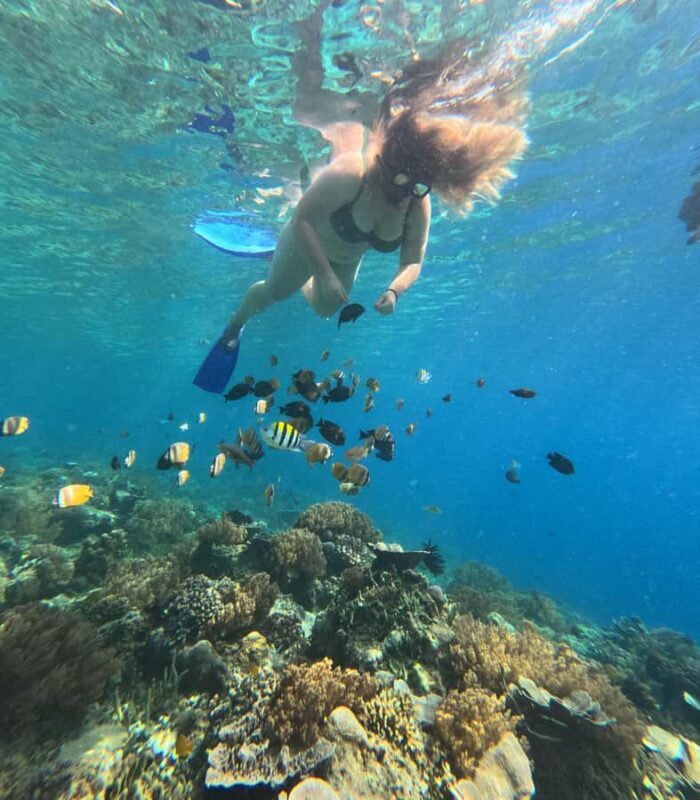 Lombok: Gili Nanggu Sudak and Kedis Snorkeling Tour - A Closer Look at the Tour Experience