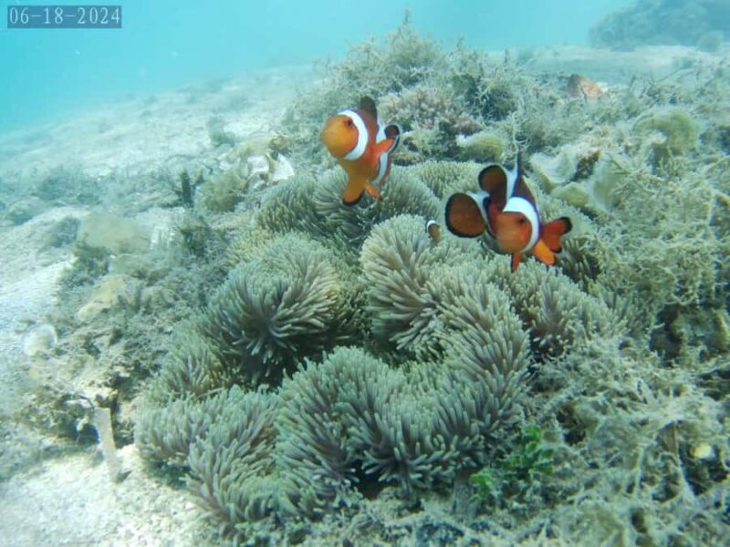 Lombok: Gili Nanggu, Tangkong, Sudak, and Kedis Islands Tour - Good To Know  