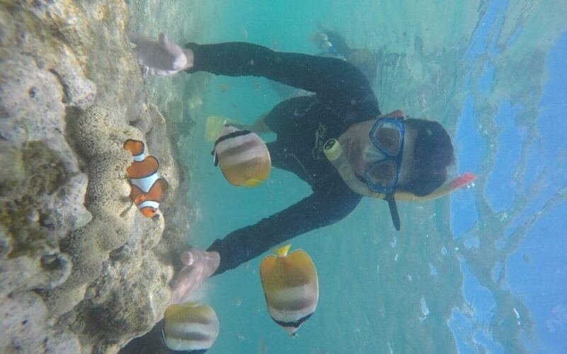 Lombok: Gili Nanggu, Tangkong, Sudak, and Kedis Islands Tour - Authentic Experiences and Traveler Insights