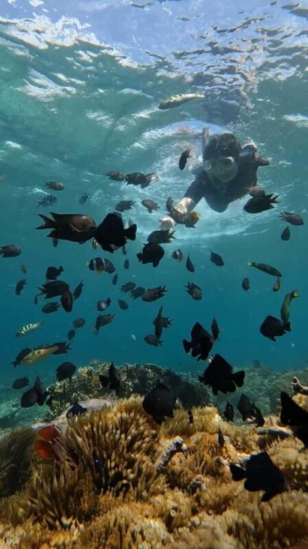 Lombok: Gili Rengit, Gili Gede, and Gili Layar Island Tour - Transportation & Group Size