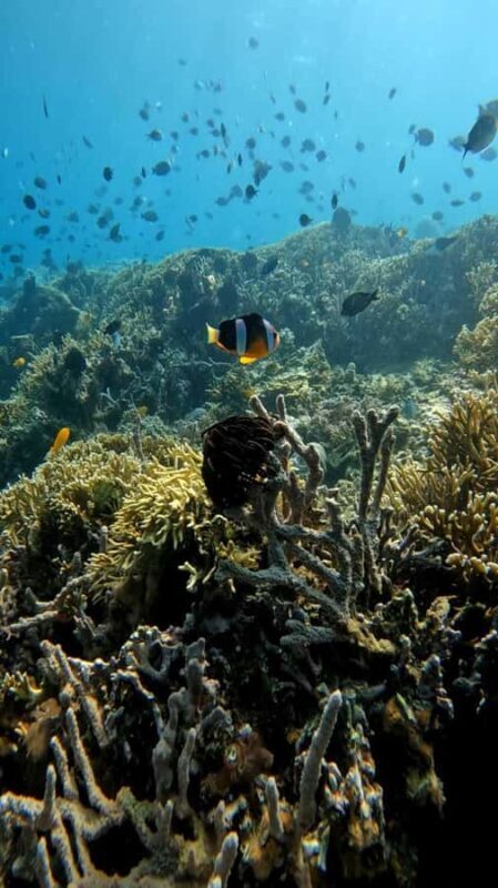 Lombok: Gili Rengit, Gili Gede, and Gili Layar Island Tour - FAQ